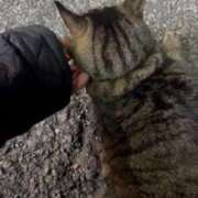 ヒメ日記 2024/12/24 02:59 投稿 あい sweet kiss