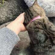 ヒメ日記 2024/12/26 02:59 投稿 あい sweet kiss