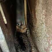 ヒメ日記 2024/12/27 02:29 投稿 あい sweet kiss