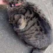 ヒメ日記 2024/12/28 03:19 投稿 あい sweet kiss