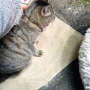 ヒメ日記 2024/12/31 03:09 投稿 あい sweet kiss