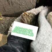 ヒメ日記 2024/12/31 20:28 投稿 あい sweet kiss