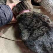 ヒメ日記 2025/01/02 03:09 投稿 あい sweet kiss