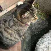 ヒメ日記 2025/01/05 02:29 投稿 あい sweet kiss