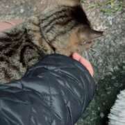 ヒメ日記 2025/01/05 20:00 投稿 あい sweet kiss