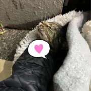 ヒメ日記 2025/01/06 03:29 投稿 あい sweet kiss