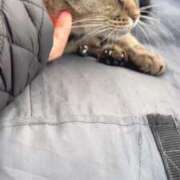 ヒメ日記 2025/01/06 23:49 投稿 あい sweet kiss