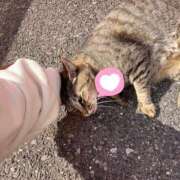 ヒメ日記 2025/01/08 02:49 投稿 あい sweet kiss