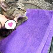 ヒメ日記 2025/01/10 02:59 投稿 あい sweet kiss