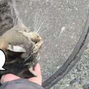 ヒメ日記 2025/01/13 03:29 投稿 あい sweet kiss