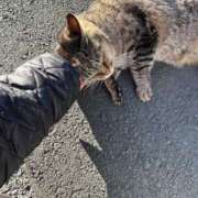 ヒメ日記 2025/01/13 17:20 投稿 あい sweet kiss