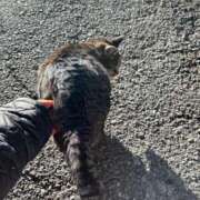 ヒメ日記 2025/01/13 22:52 投稿 あい sweet kiss