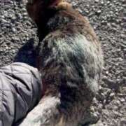 ヒメ日記 2025/01/15 02:59 投稿 あい sweet kiss