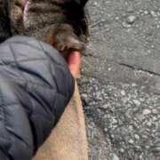 ヒメ日記 2025/01/15 23:24 投稿 あい sweet kiss