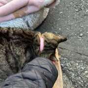 ヒメ日記 2025/01/16 02:49 投稿 あい sweet kiss