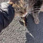 ヒメ日記 2025/01/17 02:59 投稿 あい sweet kiss