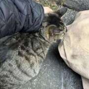 ヒメ日記 2025/01/20 02:49 投稿 あい sweet kiss