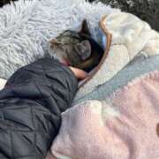 ヒメ日記 2025/01/21 03:09 投稿 あい sweet kiss