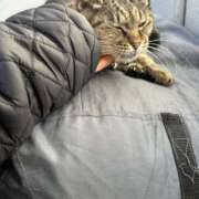 ヒメ日記 2025/01/23 08:21 投稿 あい sweet kiss