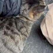 ヒメ日記 2025/01/23 03:09 投稿 あい sweet kiss