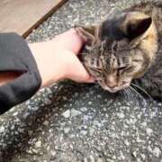 ヒメ日記 2025/01/25 06:09 投稿 あい sweet kiss