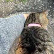 ヒメ日記 2025/01/27 11:09 投稿 あい sweet kiss