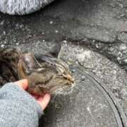 ヒメ日記 2025/01/29 03:29 投稿 あい sweet kiss