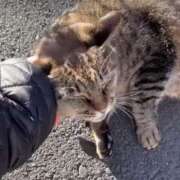 ヒメ日記 2025/02/01 03:29 投稿 あい sweet kiss