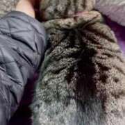 ヒメ日記 2025/02/02 02:39 投稿 あい sweet kiss