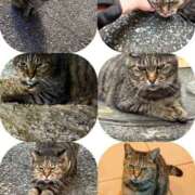 ヒメ日記 2025/02/04 03:29 投稿 あい sweet kiss