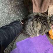 ヒメ日記 2025/02/05 22:55 投稿 あい sweet kiss