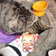 ヒメ日記 2025/02/06 02:59 投稿 あい sweet kiss