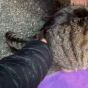 ヒメ日記 2025/02/07 09:17 投稿 あい sweet kiss