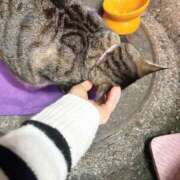 ヒメ日記 2025/02/08 03:29 投稿 あい sweet kiss