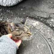 ヒメ日記 2025/02/09 03:19 投稿 あい sweet kiss