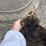 ヒメ日記 2025/02/11 03:29 投稿 あい sweet kiss