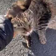 ヒメ日記 2025/02/15 03:49 投稿 あい sweet kiss