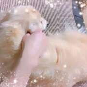 ヒメ日記 2025/02/16 08:23 投稿 あい sweet kiss