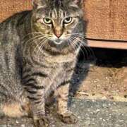 ヒメ日記 2025/02/16 02:59 投稿 あい sweet kiss