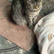 ヒメ日記 2025/02/16 23:14 投稿 あい sweet kiss