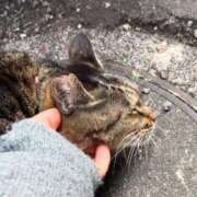 ヒメ日記 2025/02/20 02:49 投稿 あい sweet kiss