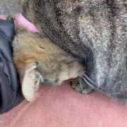 ヒメ日記 2025/02/24 04:09 投稿 あい sweet kiss