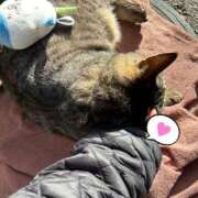 ヒメ日記 2025/02/24 15:49 投稿 あい sweet kiss