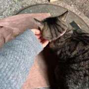 ヒメ日記 2025/02/26 04:09 投稿 あい sweet kiss