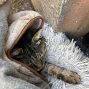 ヒメ日記 2025/02/26 17:34 投稿 あい sweet kiss