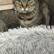 ヒメ日記 2025/02/27 03:19 投稿 あい sweet kiss