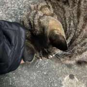 ヒメ日記 2025/02/28 03:19 投稿 あい sweet kiss