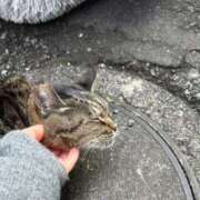 ヒメ日記 2025/03/01 05:19 投稿 あい sweet kiss