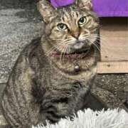 ヒメ日記 2025/03/02 09:36 投稿 あい sweet kiss