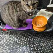 ヒメ日記 2025/03/03 23:16 投稿 あい sweet kiss